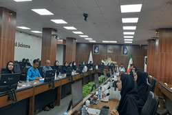 برگزاری نشست هم اندیشی و آموزشی تحلیل مرگ و میر استان 